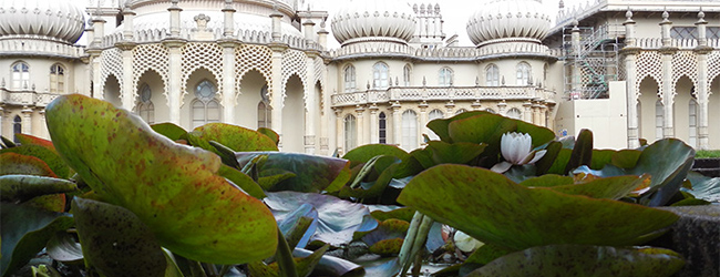 LISA-Sprachreisen-Englisch-Brighton-Royal-Pavilion-Seerosen-romantisch-Aussicht-Park-Sehenswuerdigkeiten