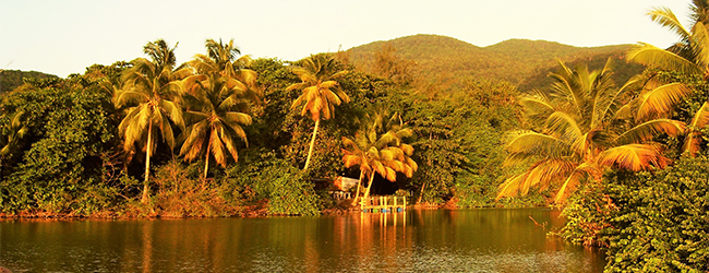 LISA-Sprachreisen-Franzoesisch-Karibik-Guadeloupe-Strand-Meer-Baum-Sonne-Bucht-Sonnenuntergang